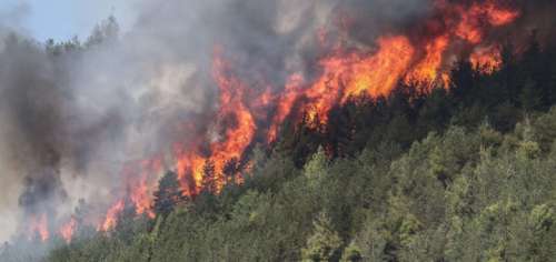 Bollettino rischio incendi boschivi