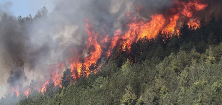 Bollettino rischio incendi boschivi