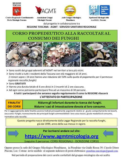 Al via le iscrizioni ai corsi propedeutici alla raccolta e al consumo dei funghi
